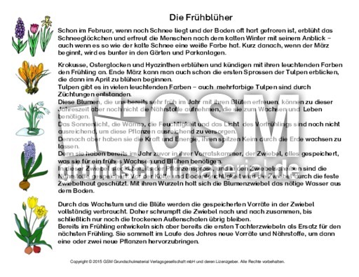 Abschreibtext-Frühblüher.pdf